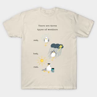 Three Types of Weather T-Shirt